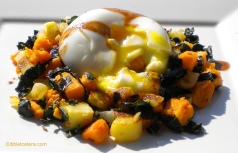 Kale & Root Vegetable Hash with Poached Egg.