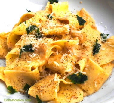 Pappardelle with a Walnut, Garlic & Parmesan Sauce