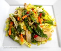 Warm Asian Chicken Salad with a Citrus Lemongrass Dressing