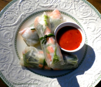 Vietnamese Summer Rolls with Shrimp